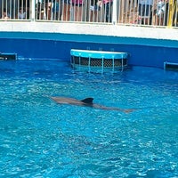 Gulfarium Marine Adventure Park - Theme Park