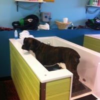 Photo taken at Dirty Dogs Spa and Boutique by Katie A. on 5/15/2012