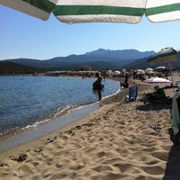 Le Migliori Spiagge Per I Cani 2019 In Sardegna Sardinias