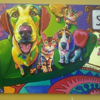 tony la russa's animal rescue foundation