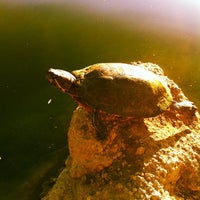Photo taken at Lake Calabasas by Peter F. on 7/6/2012