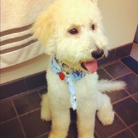 Photo taken at Parker&amp;#39;s Pet Spa &amp;amp; Boutique by Renee on 8/23/2012