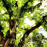 自由が丘mast 奥沢5 26 16