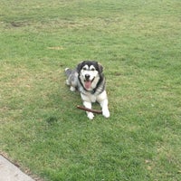 Photo taken at Poinsettia Park Dog Area by Miliani D. on 5/20/2012