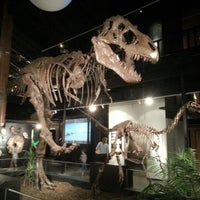houston sugar land museum science natural