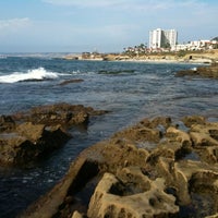 Shell Beach La Jolla Tide Chart