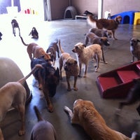 Photo taken at Cage Free K-9 Camp by James M. on 4/18/2011