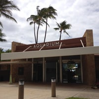 aquarium waikiki