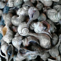 Photo taken at New Dawang Seafood Market by Noah X. on 4/24/2012