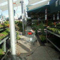 Photo taken at Bunnings Warehouse by Kaitlyn C. on 11/22/2011