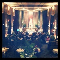orchids palm court