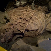 Photo taken at พิพิธภัณฑ์ธรณีวิทยา(ไดโนเสาร์) by pon r. on 2/28/2012