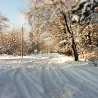 Photo taken at Ліс by Andrew K. on 1/24/2012