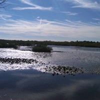 Photo taken at Betty Steflik Memorial Preserve by Roxy C. on 1/14/2012