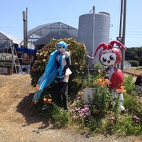 尾上いちご園 海老名 2 Tips From 22 Visitors 尾上いちご園 海老名 2 Tips From 22 Visitors