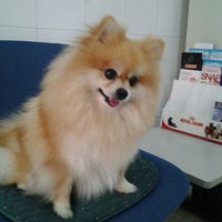 Photo taken at St. Louis Veterinarian by Siwaporn W. on 3/31/2012