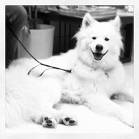 1/28/2012にdjbがBalboa Pet Hospitalで撮った写真