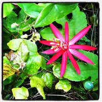 Photo taken at Passiflora Garden by a W. on 9/3/2012