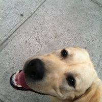 6/9/2012にElizabethがHappy Dogsで撮った写真