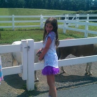 รูปภาพถ่ายที่ Land of Little Horses Farm Park โดย Tim C. เมื่อ 8/16/2012