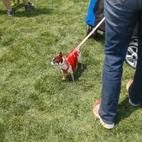 Photo prise au Bark in the Park - Presented by the Humane Society of Missouri &amp;amp; Purina ONE par JACKIE O. le5/19/2012