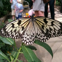 Photo taken at Butterfly World Project by Emma M. on 8/28/2012
