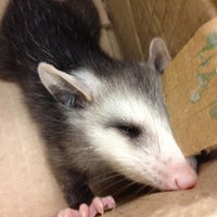 8/28/2012에 Brandy H.님이 Bradfordville Animal Hospital에서 찍은 사진