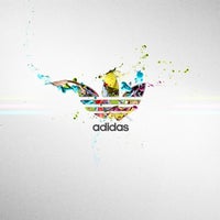 adidas san babila