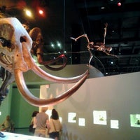 houston museum 1572