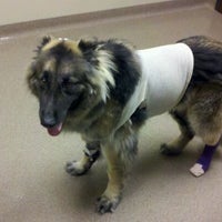 Photo taken at Circle City Veterinary Emerg &amp;amp; Specialty Hospital by Ron R. on 5/28/2012