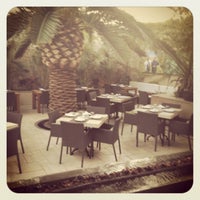 4/18/2012にElsa D.がSonoma Wine Garden Caboで撮った写真