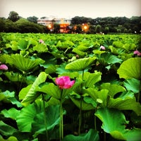 Photo taken at auショップ 上野広小路 by Gerard O. on 7/21/2012