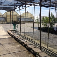 Spring Hill Nurseries 110 W Elm St Spring Hill Nurseries 110 W Elm St
