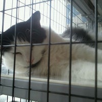 Photo taken at Friends For Life No Kill Animal Adoption &amp; Rescue Shelter by Lihsa on 12/3/2011