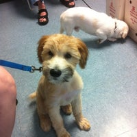 Maverick Animal Clinic Clinica Veterinaria Em Orange Park