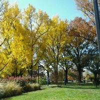 Photo taken at Ekstrom Library by tata h. on 11/8/2011