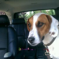 7/2/2012にSophia S.がPreferred Pet Care Incで撮った写真