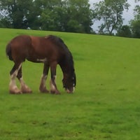 Foto scattata a Cotebrook Shire Horse Centre &amp; Countryside Park da Katie B. il 6/16/2012