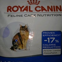 royal canin asda