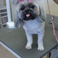Photo taken at Aunt Donna&amp;#39;s Grooming by Jenny H. on 11/15/2011