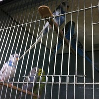 Aveve Lathuy Brabant Wallon