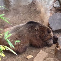 Photo taken at Grizzly Bear Exhibit by LeeAnne D. on 1/4/2012
