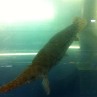 Photo taken at Seven Star Aquarium by Papi J. on 3/5/2012