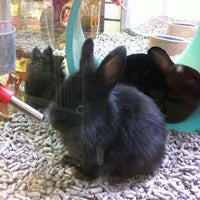 Photo taken at Gallery of Pets by Lisa H. on 5/5/2012