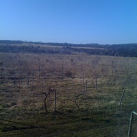 Photo taken at Three Squirrels Winery by Jeff B. on 1/28/2012
