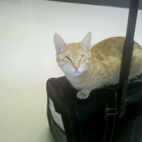 Photo taken at Gentle Care Animal Hospital by melisa t. on 5/6/2011