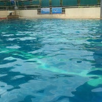 Photo taken at สระว่ายน้ำสวนสุนันทา by Anupap N. on 5/20/2012