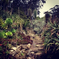 รูปภาพถ่ายที่ San Francisco Botanical Garden โดย Doris C. เมื่อ 4/11/2012