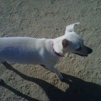 Photo taken at Downtown LA Arts District Dog Park by Shannon O. on 7/3/2012