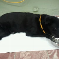 Photo taken at English Plaza Animal Hospital by Shell H. on 10/7/2011